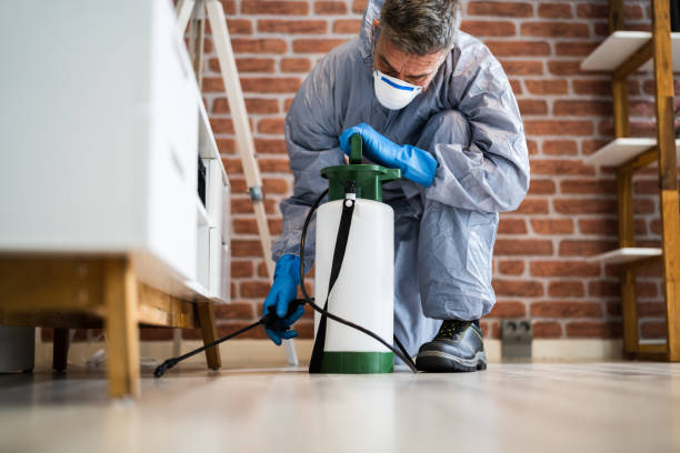 Best Residential Pest Control  in Five Forks, SC